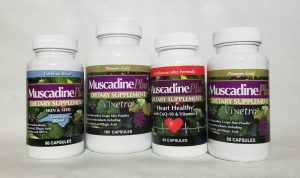 health benefits of muscadine grapes, muscadine supplements, muscadine powder, muscadine pills, why are muscadines good for you? Muscadine Naturals, muscadine supplements for heart health