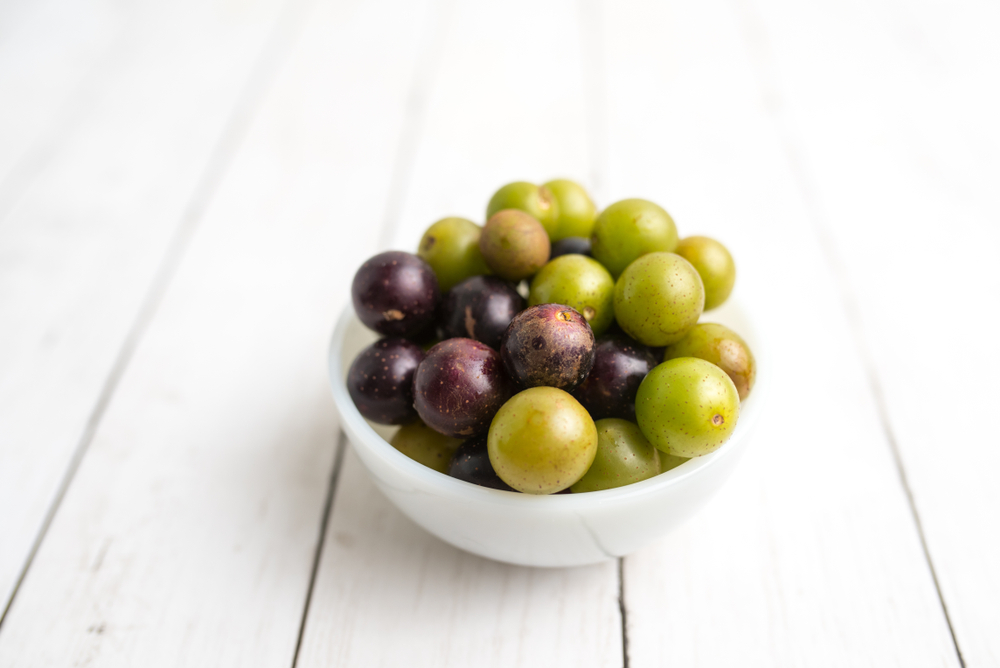 Muscadine Grape Benefits, Supplements. North Carolina, Clemmons, muscadine grape side effects